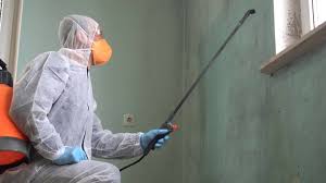 Best Residential Mold Inspection & Testing  in Benwood, WV